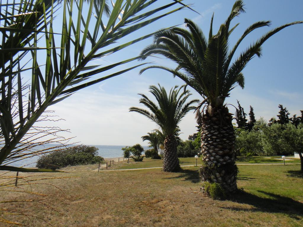Afroditi Beach Gerakini Extérieur photo