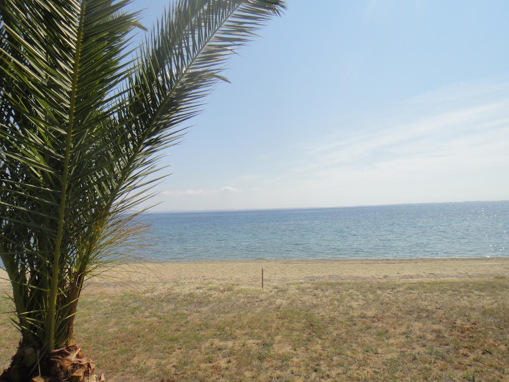 Afroditi Beach Gerakini Extérieur photo