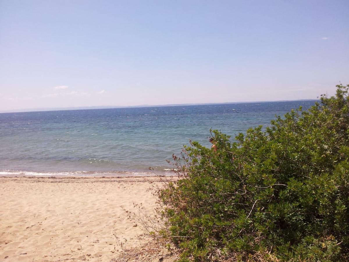 Afroditi Beach Gerakini Extérieur photo